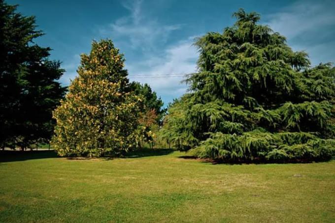 Village Park Tandil Ngoại thất bức ảnh