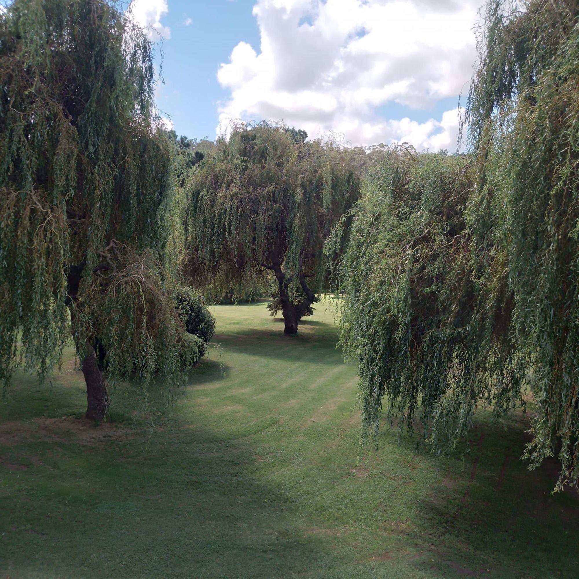 Village Park Tandil Ngoại thất bức ảnh